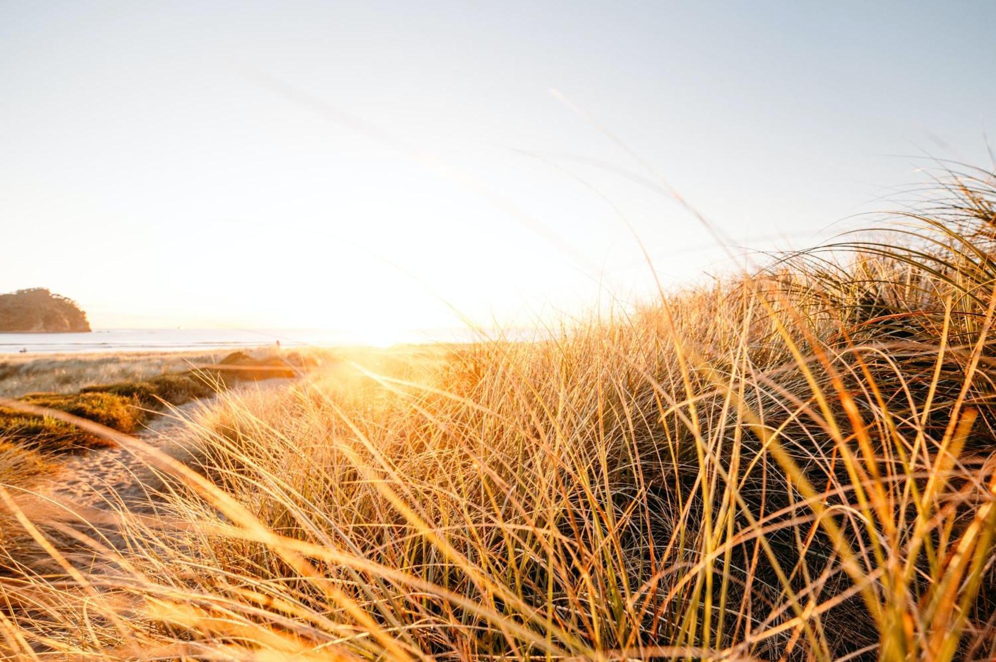 Seaside Escape Villa Mount Maunganui Eksteriør billede